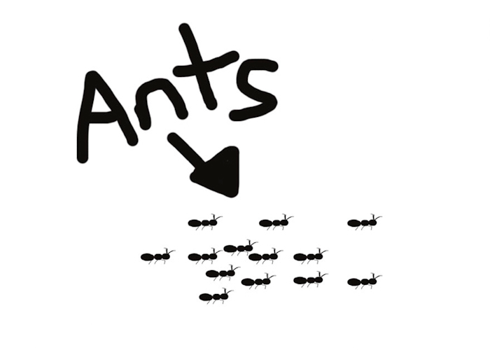 Ants animation
